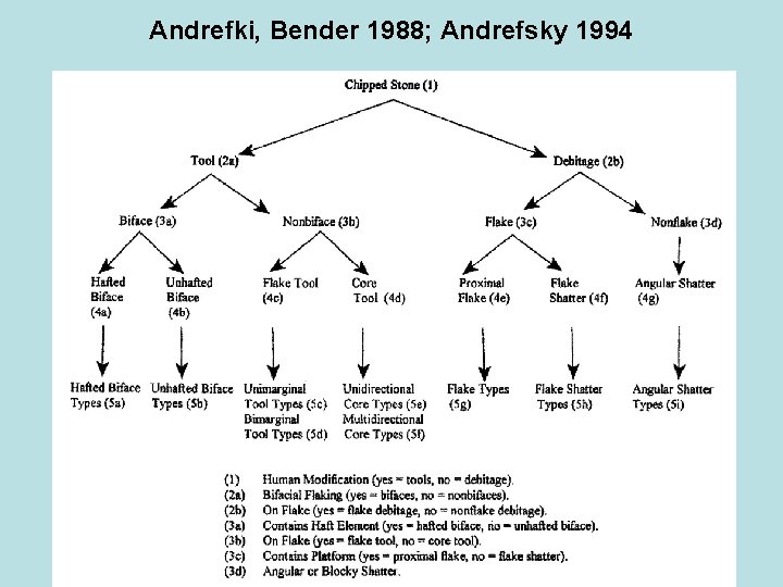 Andrefki, Bender 1988; Andrefsky 1994 