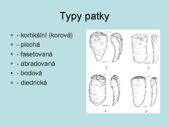 Typy patky • • • - kortikální (korová) - plochá - fasetovaná - abradovaná