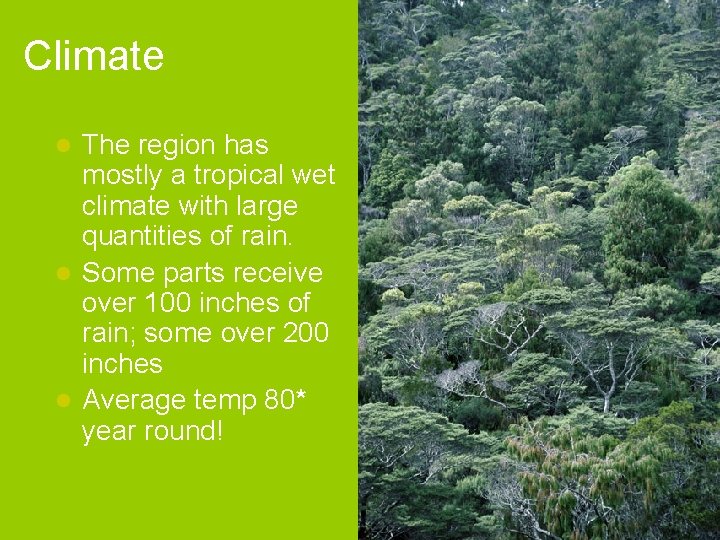 Climate The region has mostly a tropical wet climate with large quantities of rain.