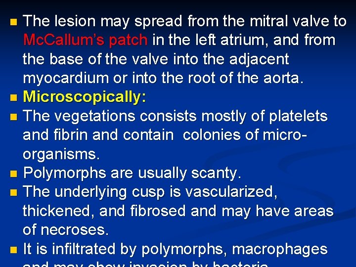 The lesion may spread from the mitral valve to Mc. Callum’s patch in the