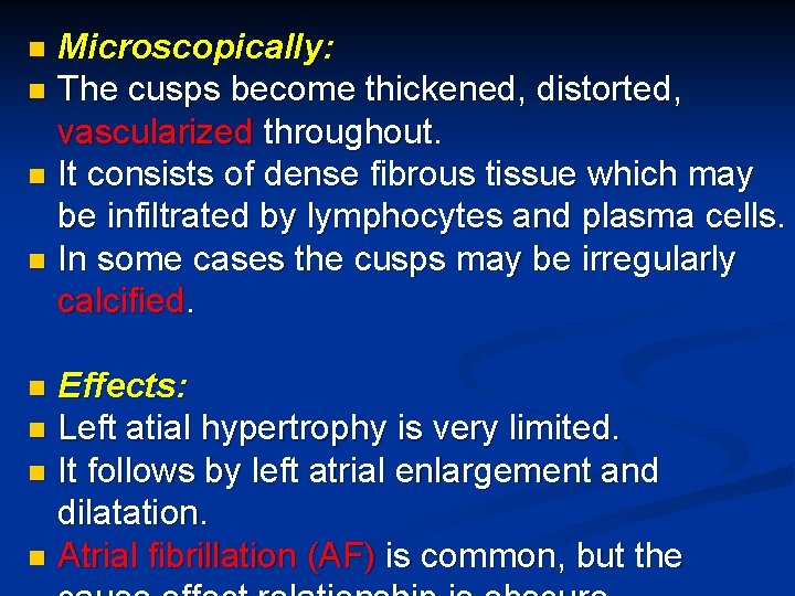 Microscopically: n The cusps become thickened, distorted, vascularized throughout. n It consists of dense