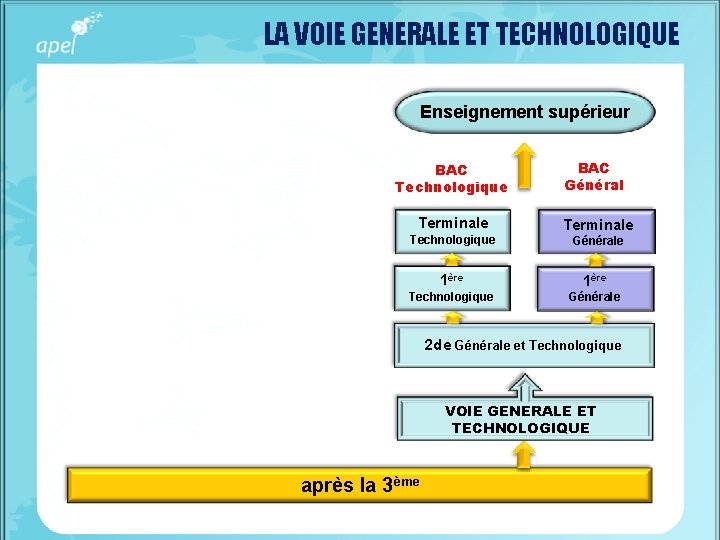 LA VOIE GENERALE ET TECHNOLOGIQUE Enseignement supérieur BAC Technologique Terminale Technologique BAC Général Terminale