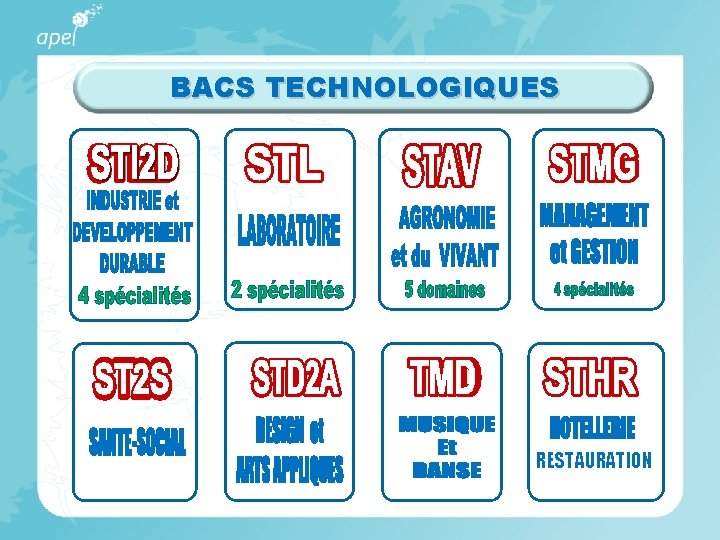BACS TECHNOLOGIQUES RESTAURATION 