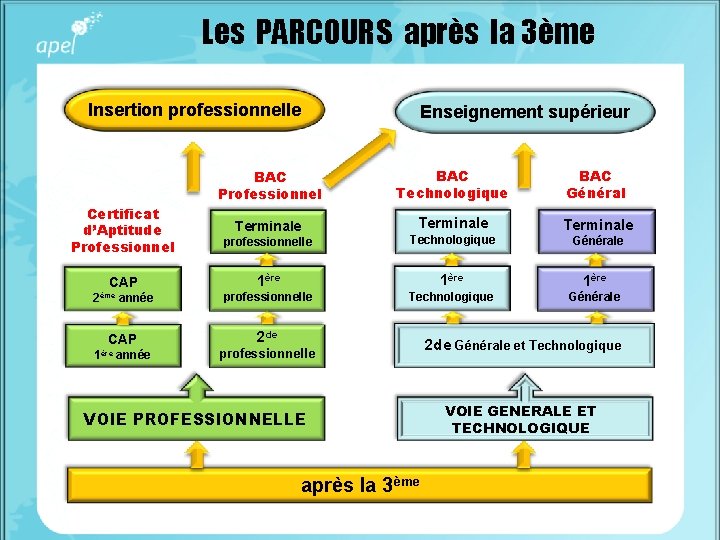 Les PARCOURS après la 3ème Insertion professionnelle Certificat d’Aptitude Professionnel BAC Professionnel Terminale Enseignement