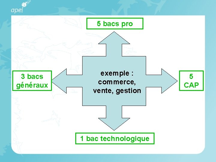 5 bacs pro 3 bacs généraux exemple : commerce, vente, gestion 1 bac technologique