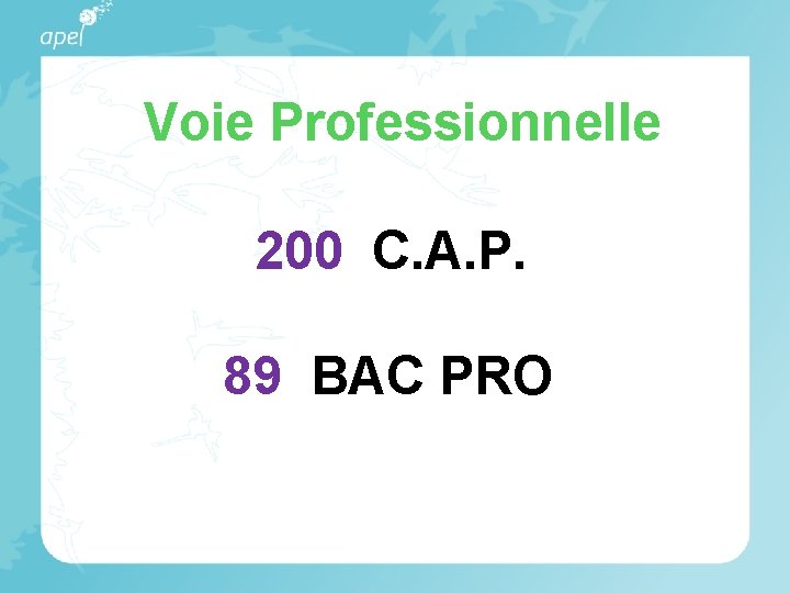 Voie Professionnelle 200 C. A. P. 89 BAC PRO 