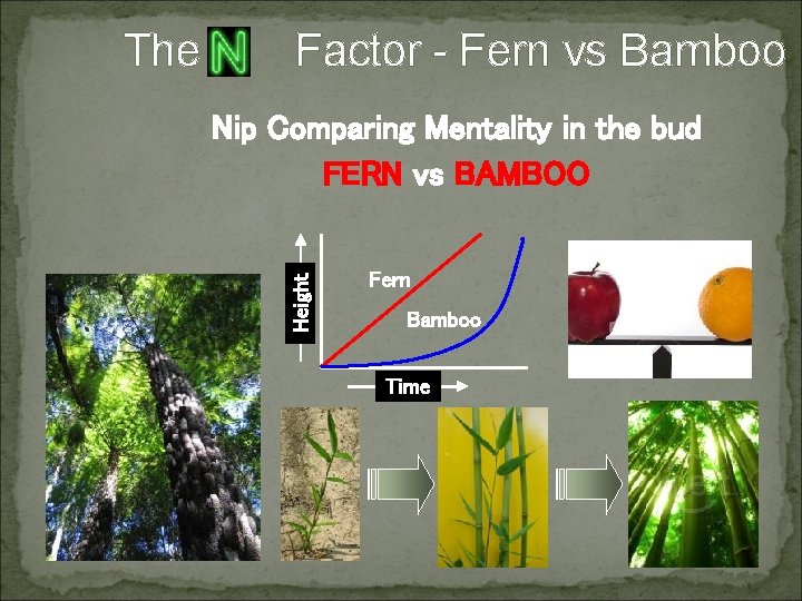 Factor - Fern vs Bamboo Nip Comparing Mentality in the bud FERN vs BAMBOO Factor - Fern vs Bamboo Nip Comparing Mentality in the bud FERN vs BAMBOO