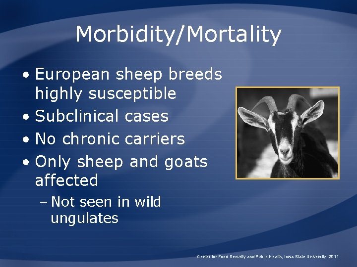 Morbidity/Mortality • European sheep breeds highly susceptible • Subclinical cases • No chronic carriers