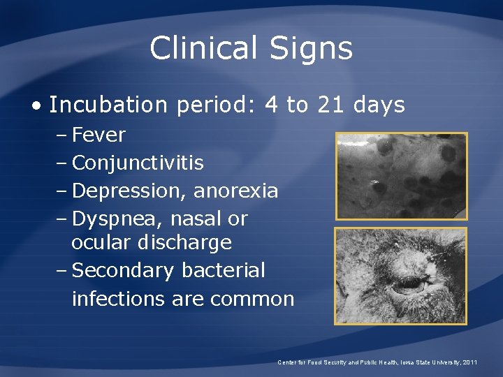 Clinical Signs • Incubation period: 4 to 21 days – Fever – Conjunctivitis –