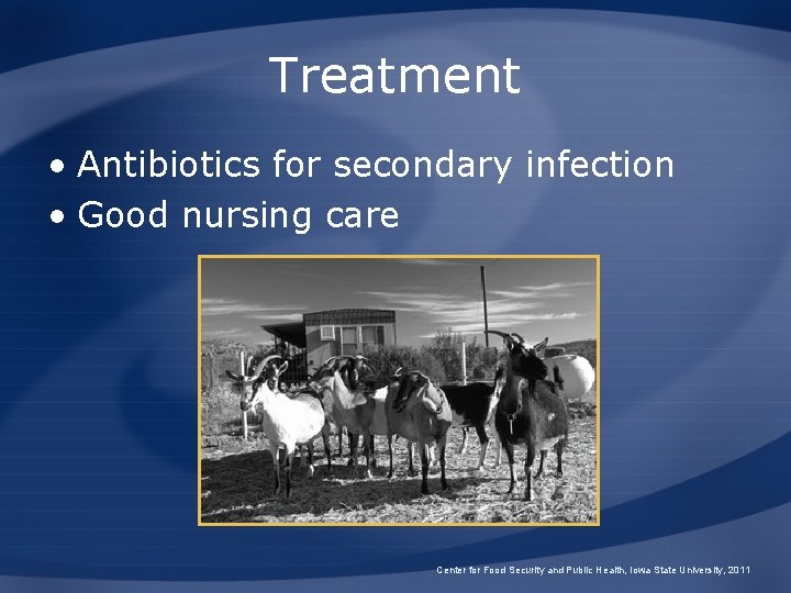 Treatment • Antibiotics for secondary infection • Good nursing care Center for Food Security
