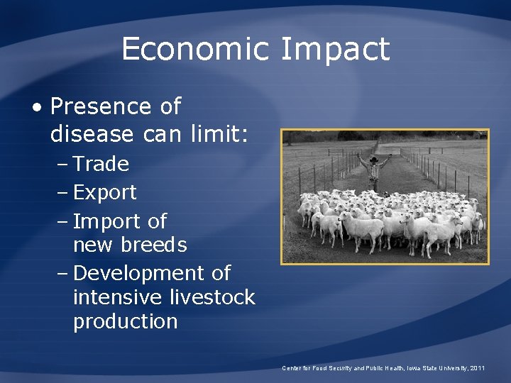 Economic Impact • Presence of disease can limit: – Trade – Export – Import