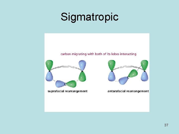 Sigmatropic 37 