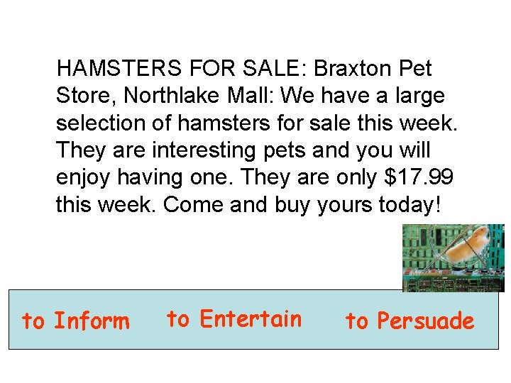 HAMSTERS FOR SALE: Braxton Pet Store, Northlake Mall: We have a large selection of