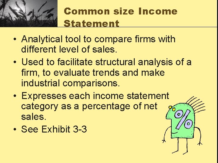 Common size Income Statement • Analytical tool to compare firms with different level of