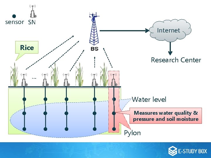 sensor SN Internet Rice Research Center … Water level Measures water quality & pressure sensor SN Internet Rice Research Center … Water level Measures water quality & pressure
