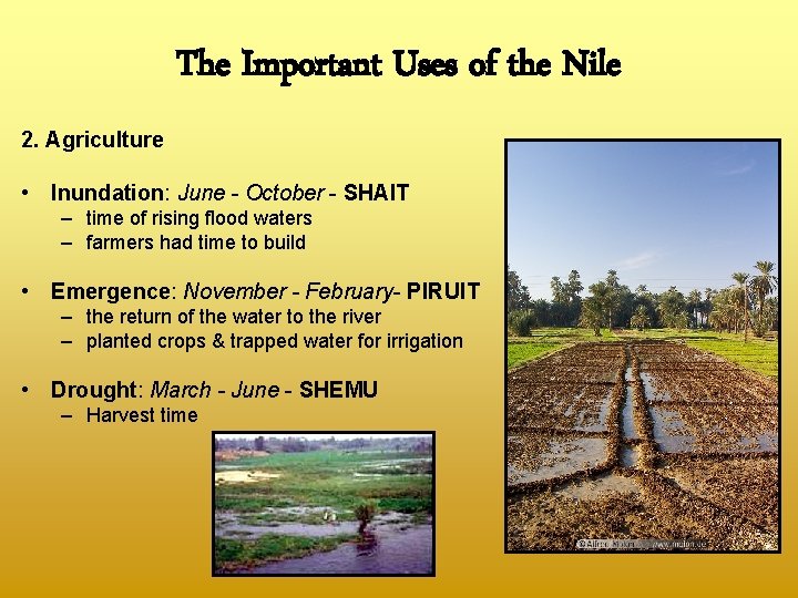 The Important Uses of the Nile 2. Agriculture • Inundation: June - October -