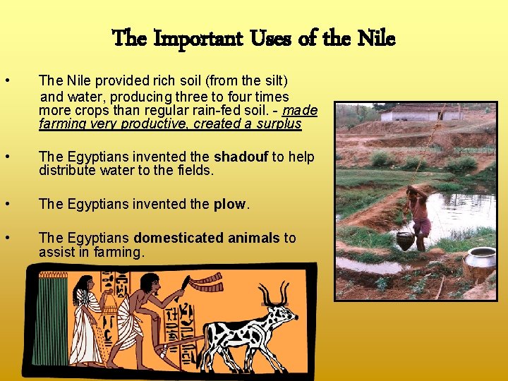 The Important Uses of the Nile • The Nile provided rich soil (from the