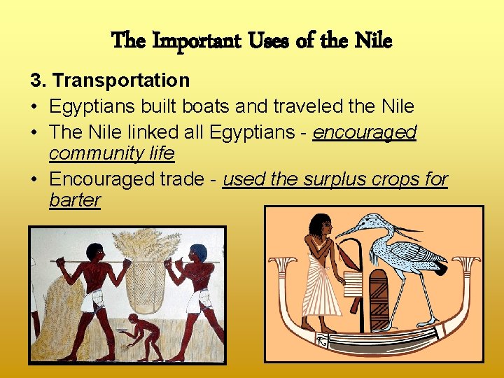 The Important Uses of the Nile 3. Transportation • Egyptians built boats and traveled