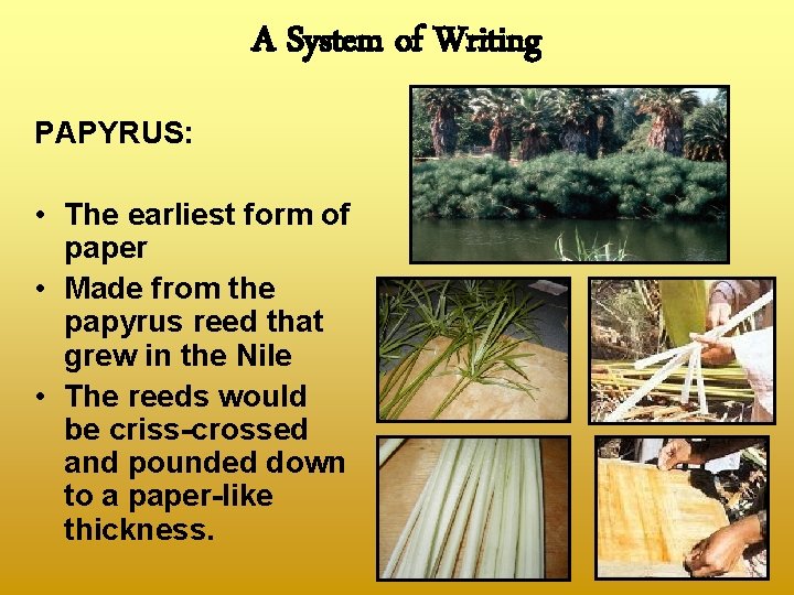A System of Writing PAPYRUS: • The earliest form of paper • Made from