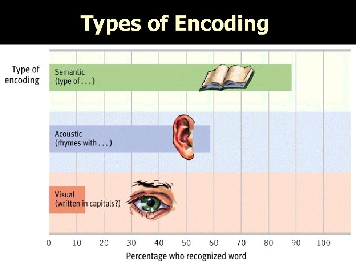 Types of Encoding 