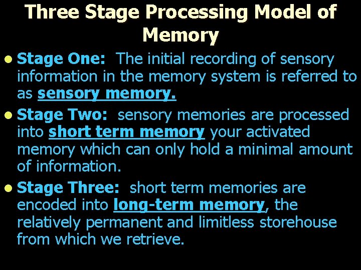 Three Stage Processing Model of Memory l Stage One: The initial recording of sensory