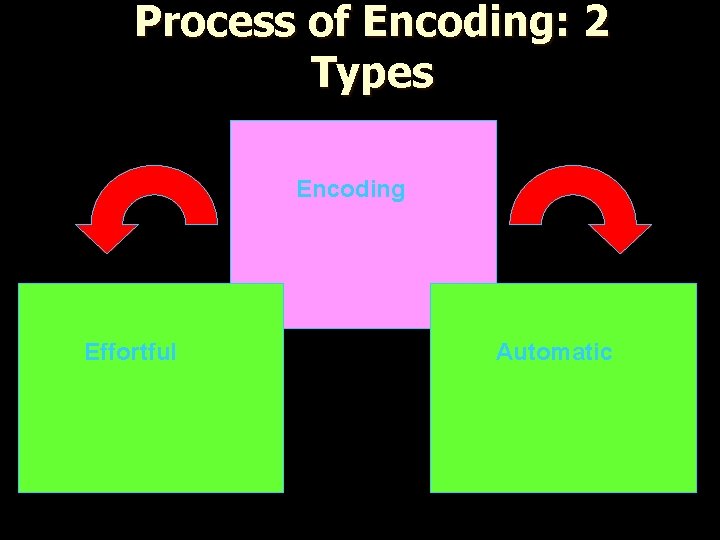 Process of Encoding: 2 Types Encoding Effortful Automatic 