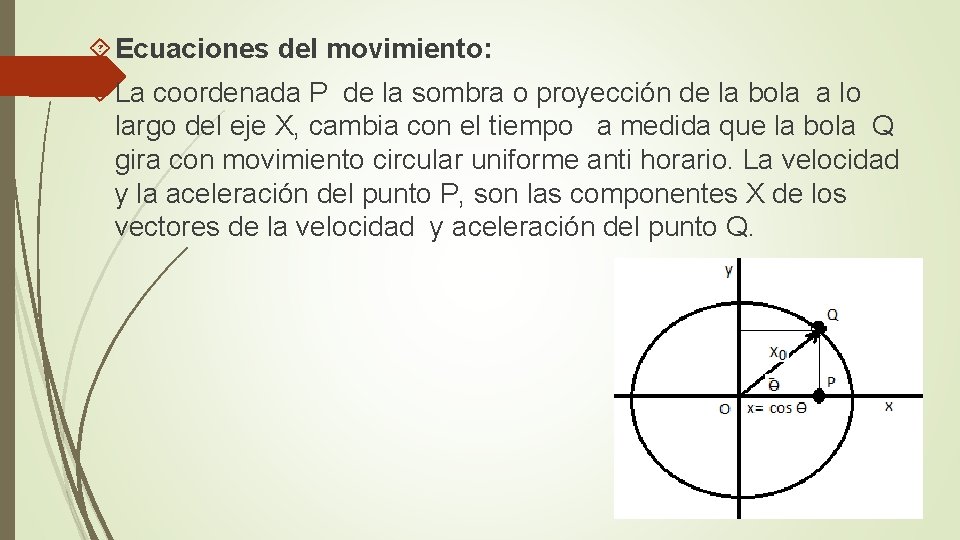  Ecuaciones del movimiento: La coordenada P de la sombra o proyección de la