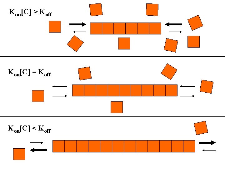 Kon[C] > Koff Kon[C] = Koff Kon[C] < Koff 