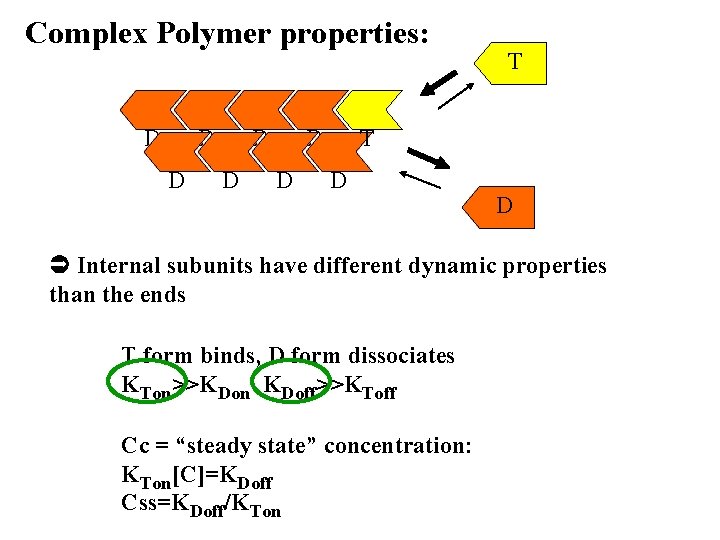 Complex Polymer properties: D D D D T T D D Internal subunits have