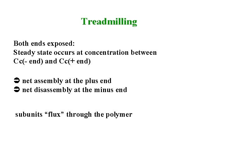 Treadmilling Both ends exposed: Steady state occurs at concentration between Cc(- end) and Cc(+