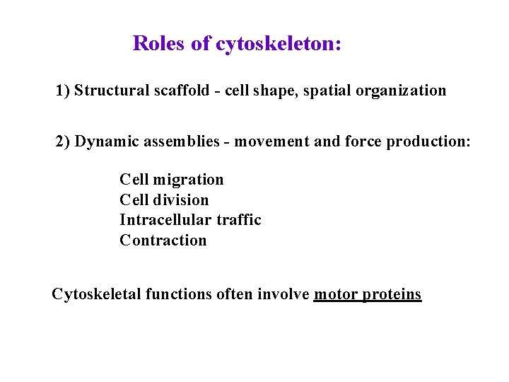 Roles of cytoskeleton: 1) Structural scaffold - cell shape, spatial organization 2) Dynamic assemblies
