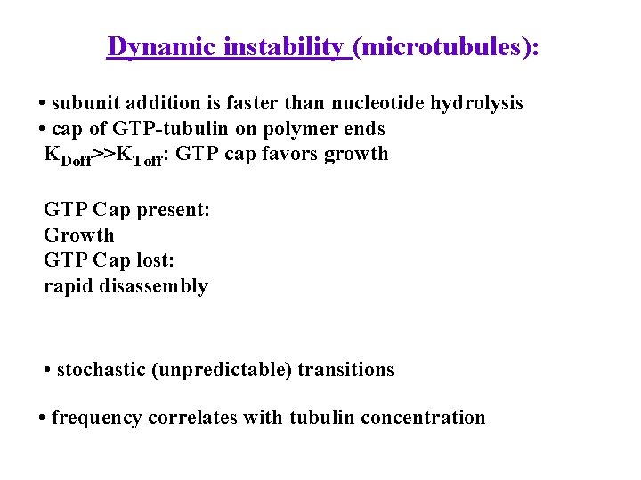 Dynamic instability (microtubules): • subunit addition is faster than nucleotide hydrolysis • cap of