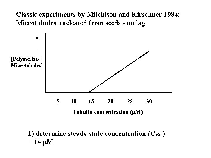 Classic experiments by Mitchison and Kirschner 1984: Microtubules nucleated from seeds - no lag