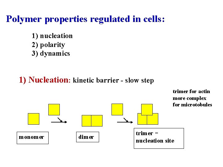 Polymer properties regulated in cells: 1) nucleation 2) polarity 3) dynamics 1) Nucleation: kinetic