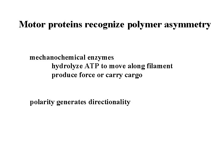 Motor proteins recognize polymer asymmetry mechanochemical enzymes hydrolyze ATP to move along filament produce