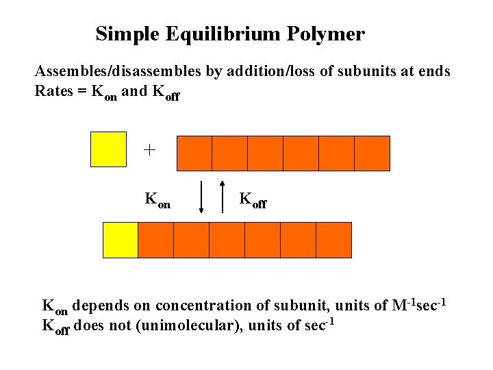 Simple Equilibrium Polymer Assembles/disassembles by addition/loss of subunits at ends Rates = Kon and