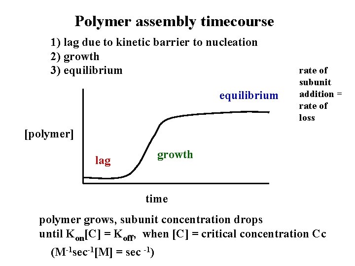 Polymer assembly timecourse 1) lag due to kinetic barrier to nucleation 2) growth 3)