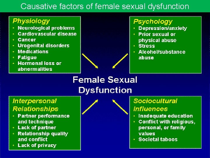 Causative factors of female sexual dysfunction 