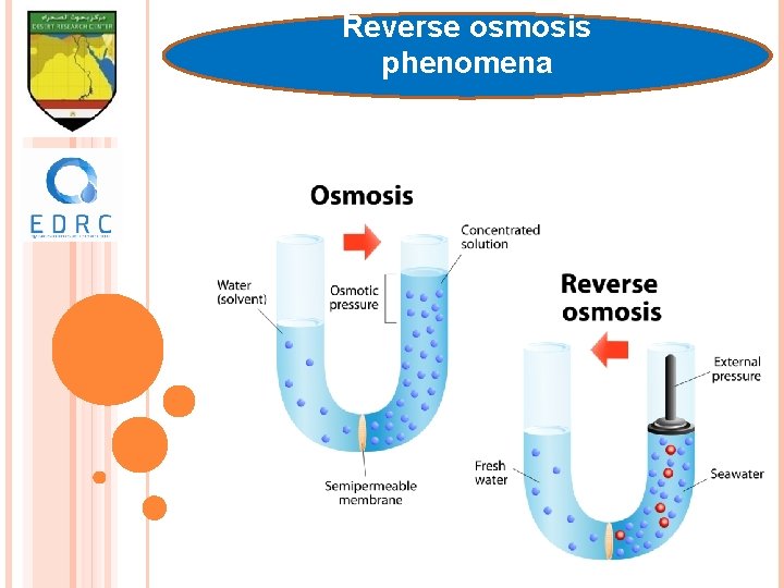 Reverse osmosis phenomena 