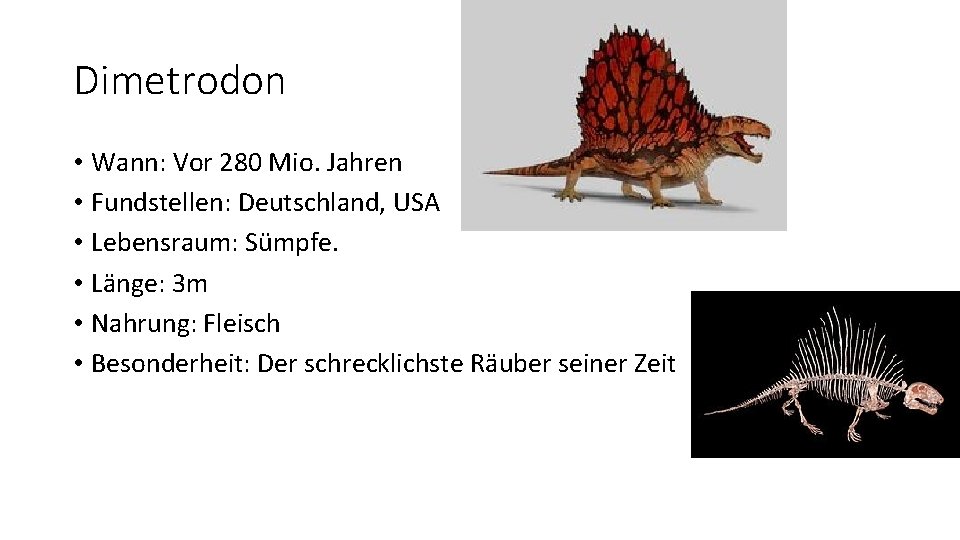 Dimetrodon • Wann: Vor 280 Mio. Jahren • Fundstellen: Deutschland, USA • Lebensraum: Sümpfe.