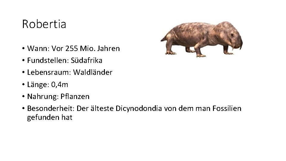 Robertia • Wann: Vor 255 Mio. Jahren • Fundstellen: Südafrika • Lebensraum: Waldländer •