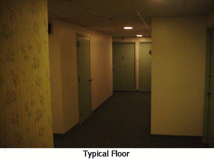 46 Typical Floor 