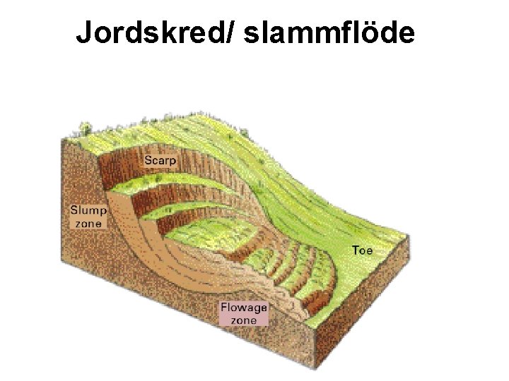 Jordskred/ slammflöde 