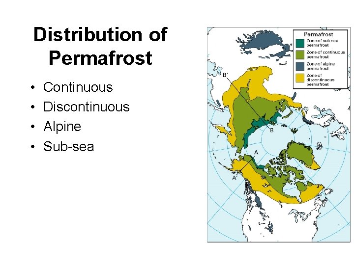 Distribution of Permafrost • • Continuous Discontinuous Alpine Sub-sea 