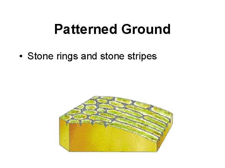 Patterned Ground • Stone rings and stone stripes 