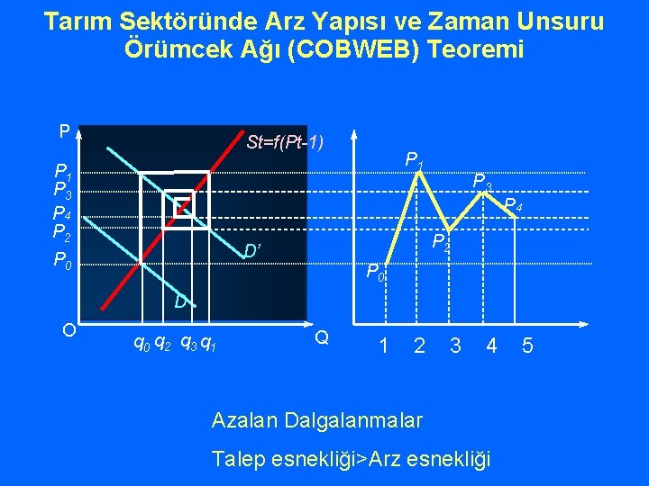 Tarım Sektöründe Arz Yapısı ve Zaman Unsuru Örümcek Ağı (COBWEB) Teoremi P St=f(Pt-1) P