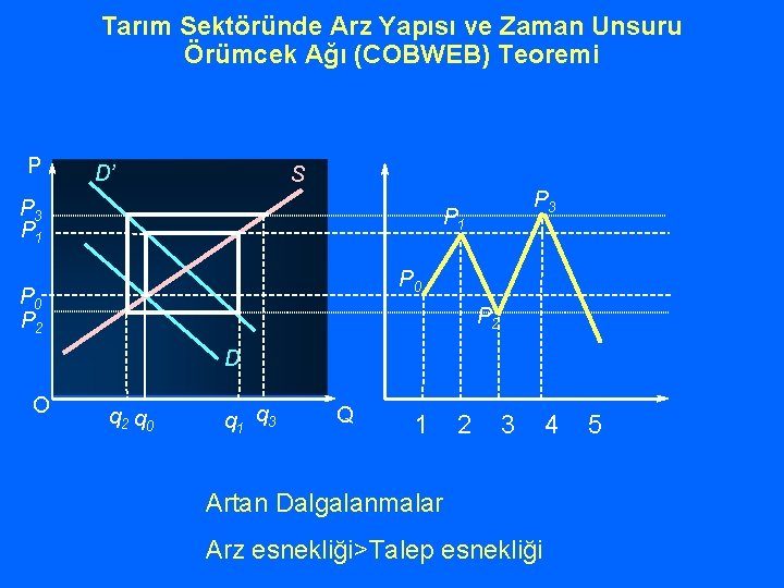 Tarım Sektöründe Arz Yapısı ve Zaman Unsuru Örümcek Ağı (COBWEB) Teoremi P D’ S