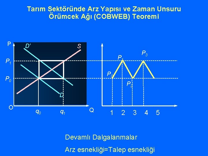 Tarım Sektöründe Arz Yapısı ve Zaman Unsuru Örümcek Ağı (COBWEB) Teoremi P D’ S