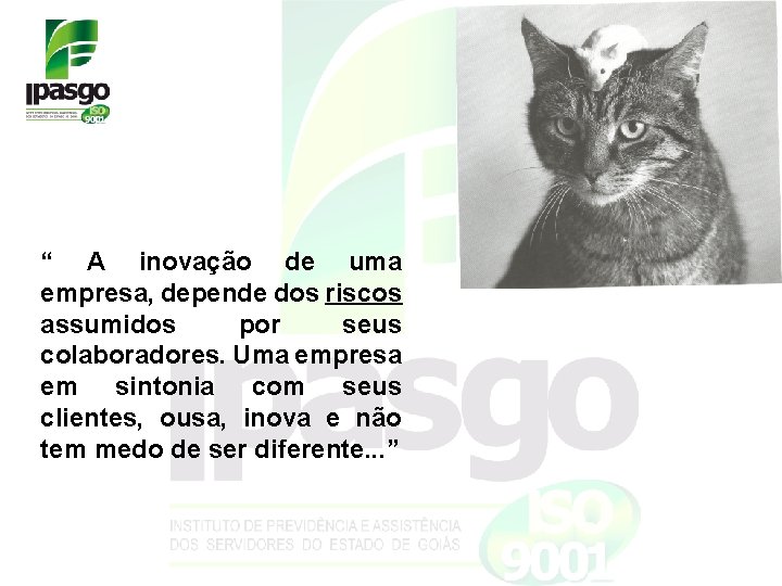 “ A inovação de uma empresa, depende dos riscos assumidos por seus colaboradores. Uma “ A inovação de uma empresa, depende dos riscos assumidos por seus colaboradores. Uma