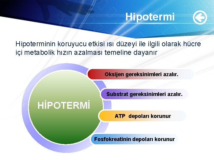 Hipoterminin koruyucu etkisi ısı düzeyi ile ilgili olarak hücre içi metabolik hızın azalması temeline Hipoterminin koruyucu etkisi ısı düzeyi ile ilgili olarak hücre içi metabolik hızın azalması temeline